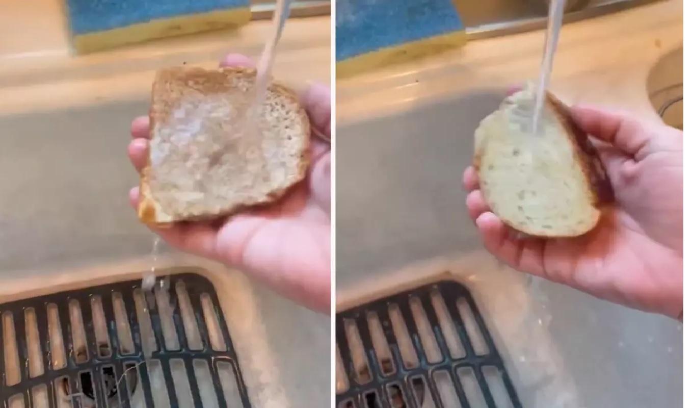 Marketten alınan ekmeği suya tuttu! Çıkan sonuç tüyler ürpertici
