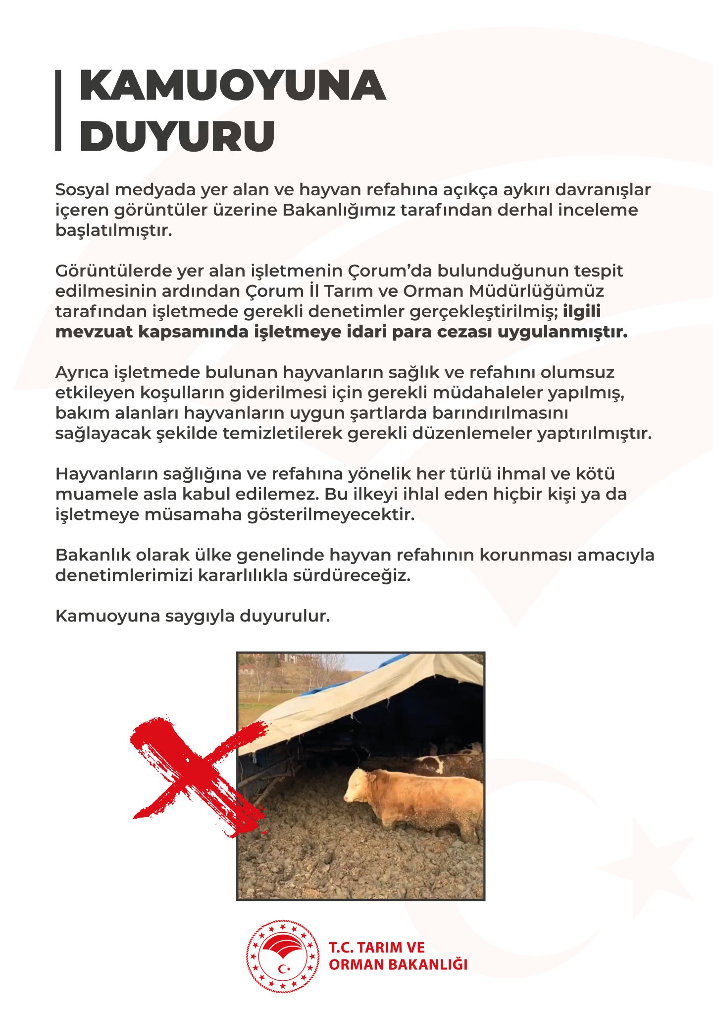 Tarım ve Orman Bakanlığı’ndan Hayvan Refahı Açıklaması