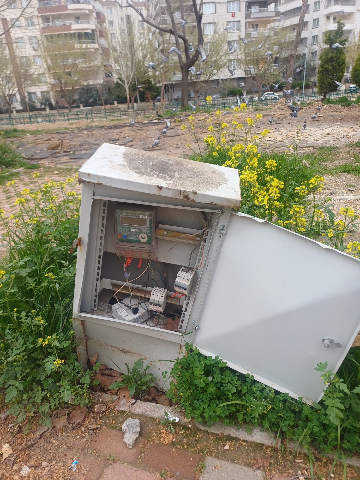 Karaköprü’de Kapağı Kırık Elektrik Panoları Tehlike Saçıyor