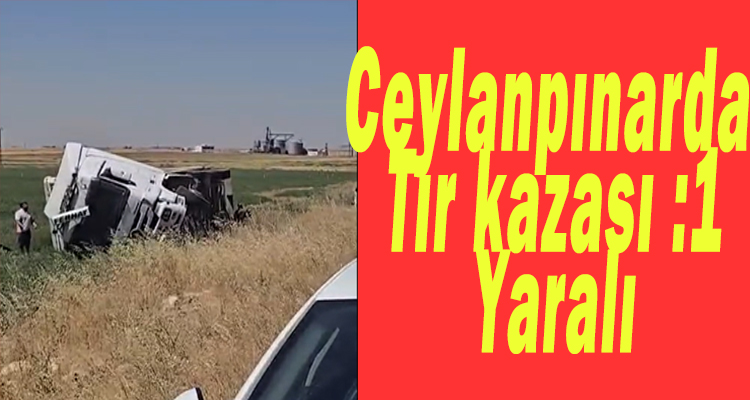 Ceylanpınar-Kızıltepe Yolunda Tır Devrildi: 1 Yaralı