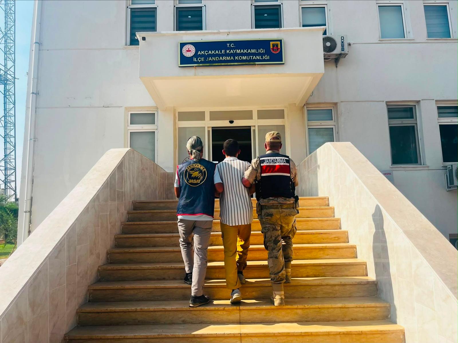 Akçakale’de Hırsızlık Hükümlüsü Jandarma Ekiplerince Yakalandı